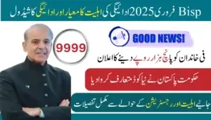 Good News Prime Minister Ramzan Relief Package 2025 Know Complete Details
